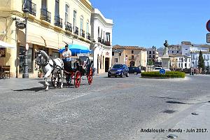 486- Ronda